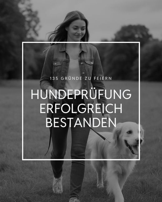 Junge Dame führt einen Hund an der Leine über eine Wiese