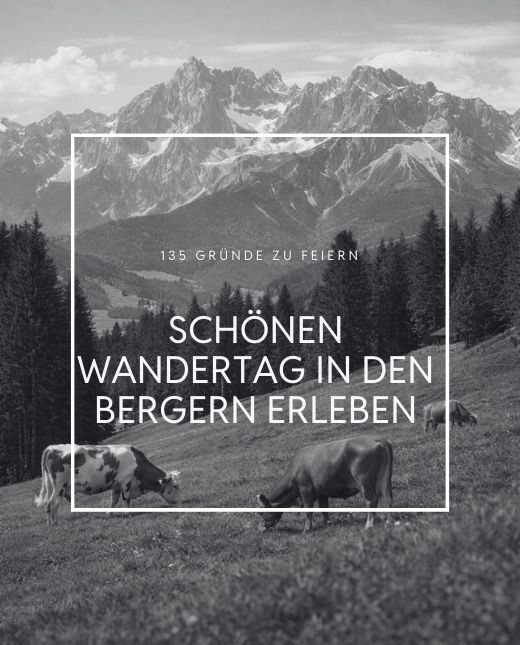 Bergpanorama mit einer Alm und Kühe