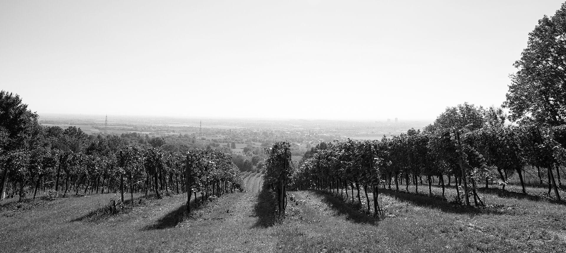 Eine Reise durch die Zeit mit Hochriegl Sekt